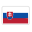 CZ Flag